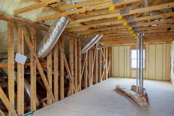 Best Eco-Friendly Insulation in Clive, IA