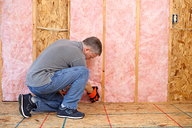 Best Energy Efficiency Insulation in Clive, IA
