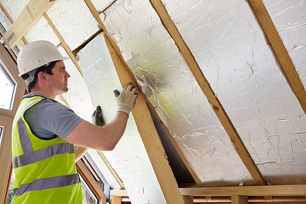 Best Geographic-Specific Insulation Services in Clive, IA