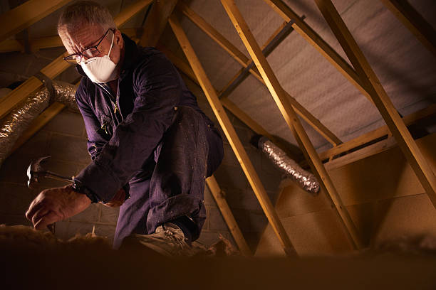 Best Cellulose Insulation in Clive, IA