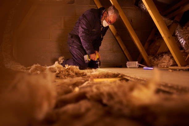 Best DIY Insulation Kits and Guidance in Clive, IA